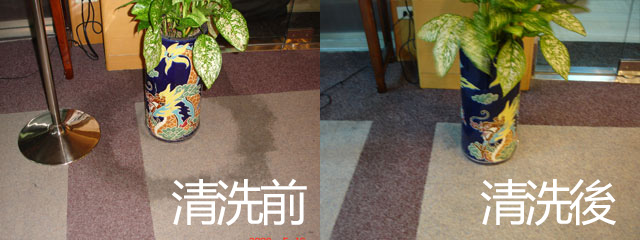 地毯清潔前後對比